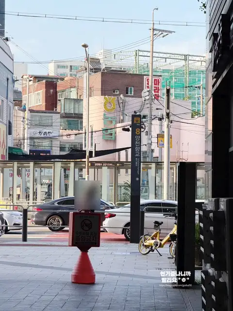 미오 브로우바 사진 5