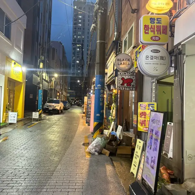 썸머네즈 사진 6