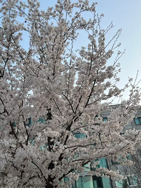 에이아킨 홍대본점 사진 4
