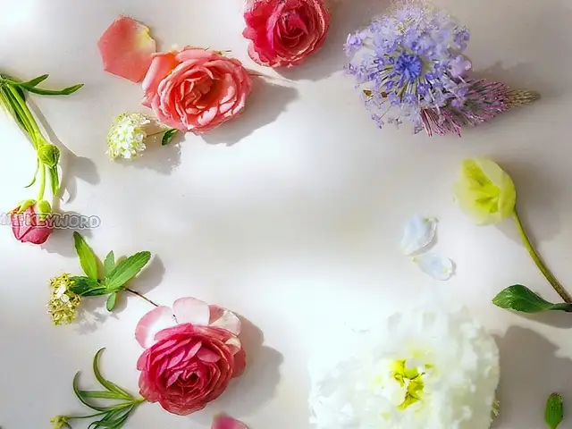 에이에이피 사진 8