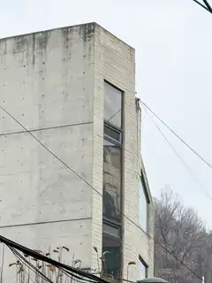젝시왁싱 사진