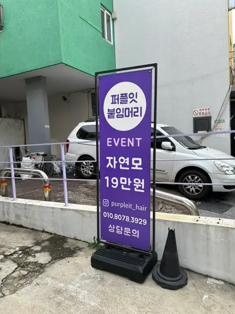 퍼플잇 사진 7