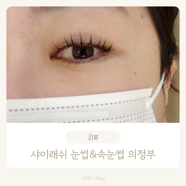 샤이래쉬 눈썹&속눈썹 의정부점 사진 5