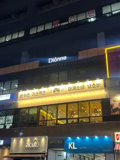 디온 사진