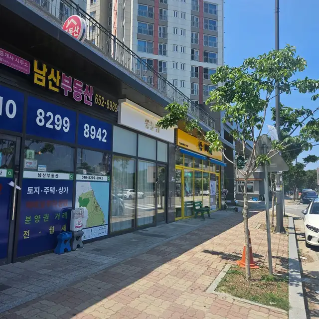 쏭눈썹 사진 5