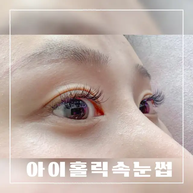 아이홀릭속눈썹 사진 7