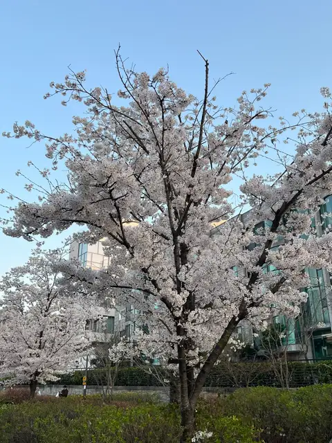 에이아킨 홍대본점 사진 3