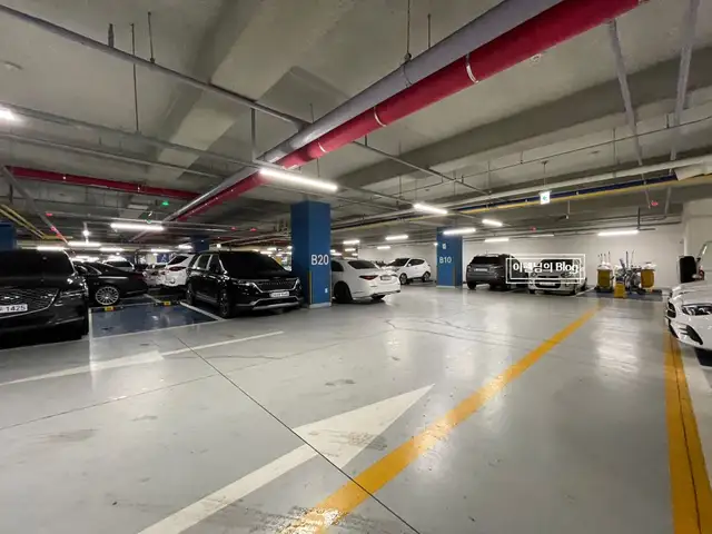 피네스테틱 사진 8