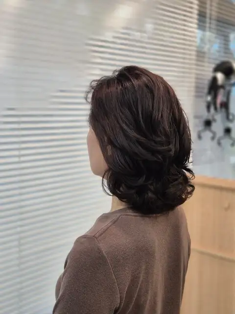 레베헤어 사진 7