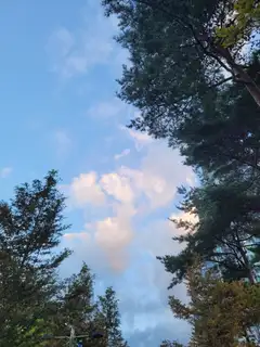 채아살롱 사진