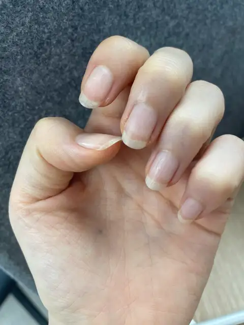네일리제이 사진 3