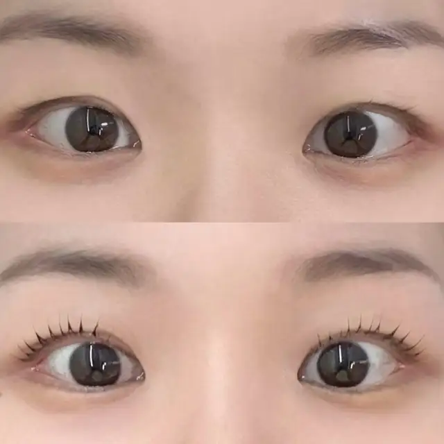 속눈썹달다 사진 7