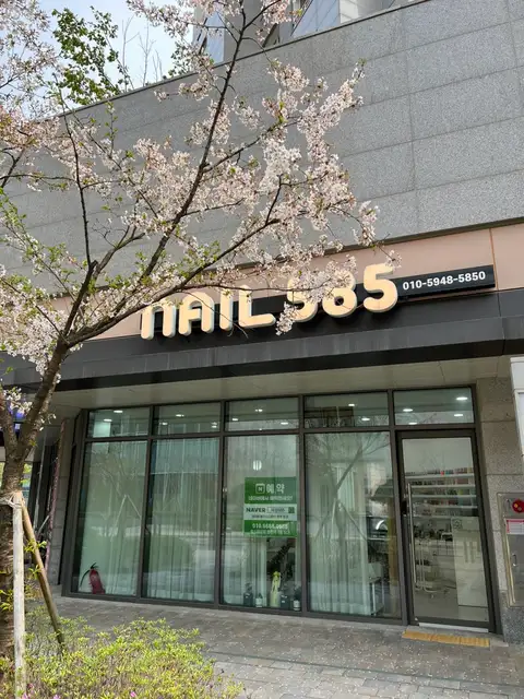 네일585 사진 4