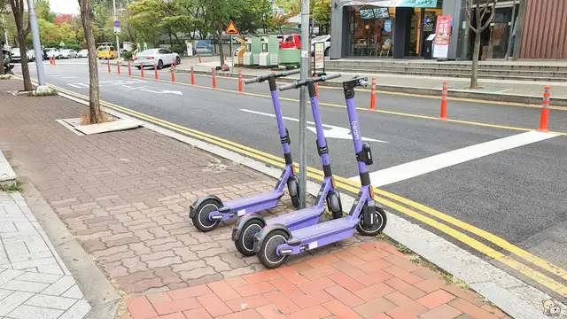 금단비가 송도점 사진 8