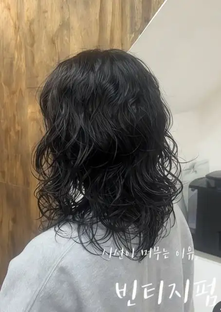 테르헤어 사진 3
