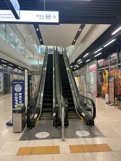 얼루어헤어 사진