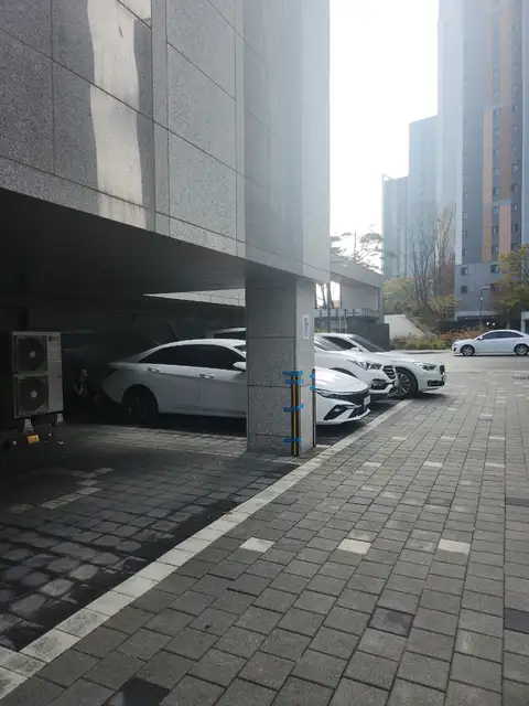 엘에스테틱 사진 2