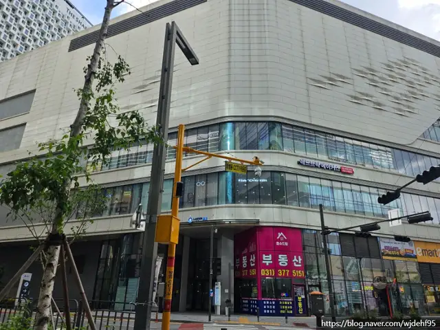 위드비네일 사진 5