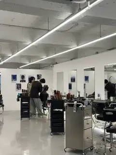 비도프 사진