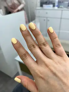 네일루씨르 사진