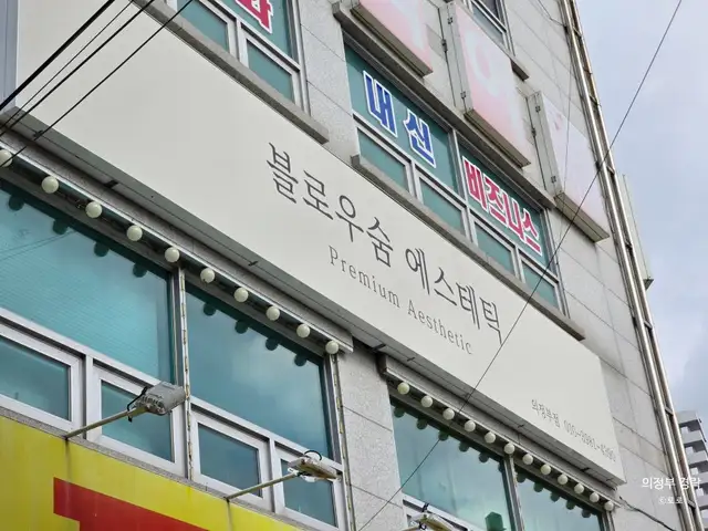 블로우숨 사진 2