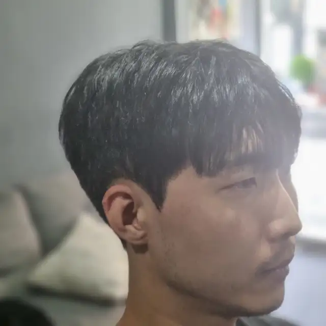 피가로스 사진 2