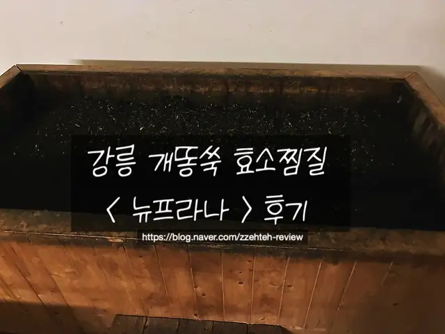 뉴프라나 사진 3