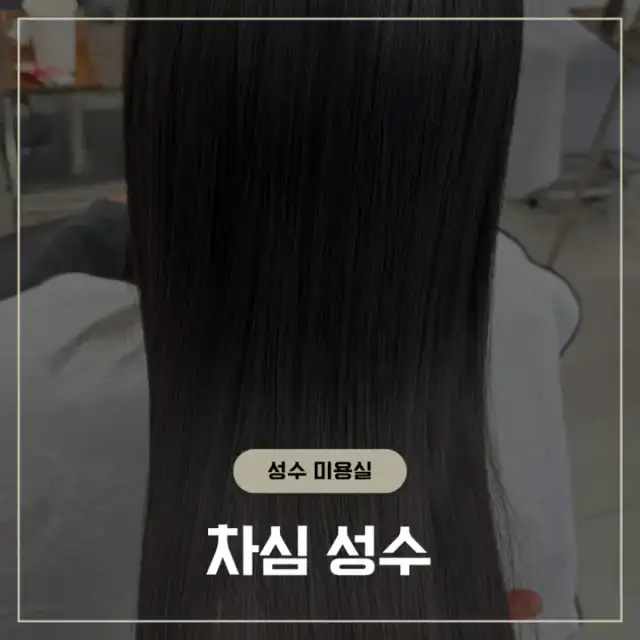 차심 성수 사진 5