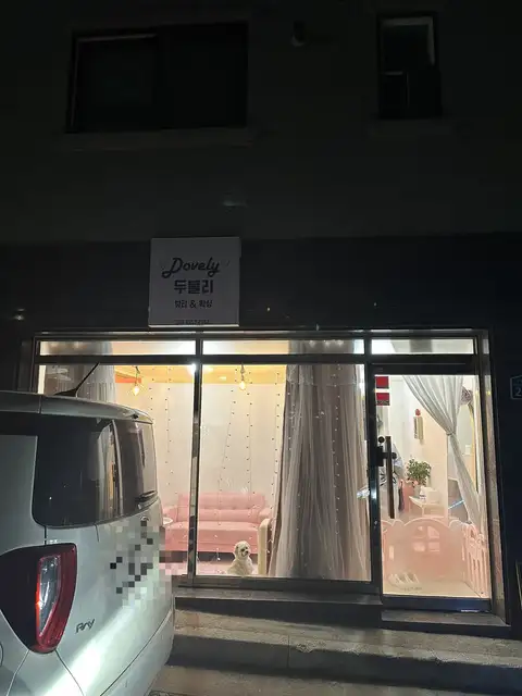 두블리 사진 3