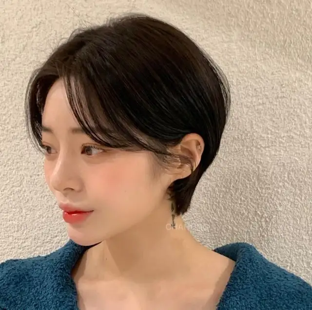 보하비헤어 강릉점 사진 3