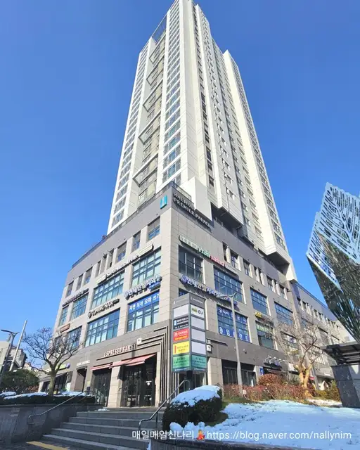 아르떼래쉬 사진 8