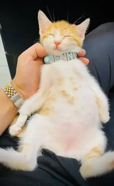 에센슈얼 성수점 사진 3