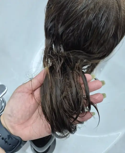 비오브 사진 3