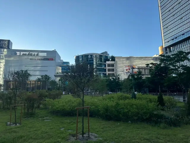 문지스뷰티 사진 8