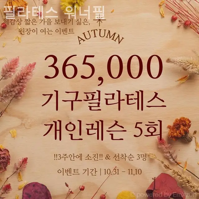 워너필 사진 2