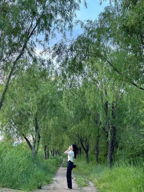 라인텐 사진 3