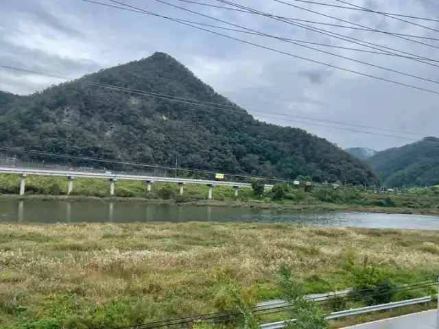 그레이스 사진 2