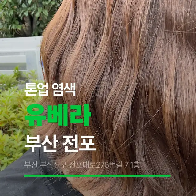 유베라 사진 3