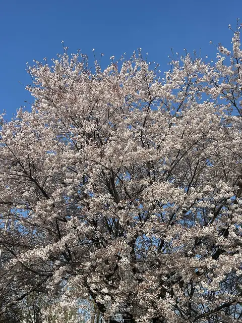 오늘네일 사진 8
