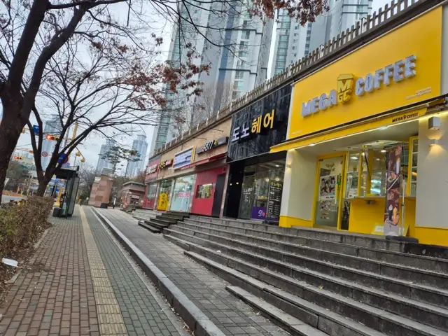 도노헤어 사진 1
