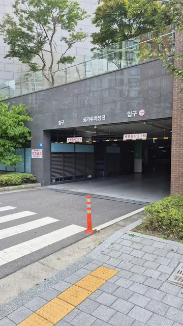 영앤브라이트 사진 4