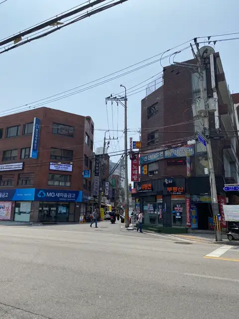 어도프 사진 5