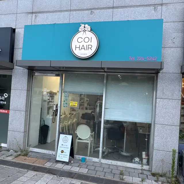 코이헤어 사진 2