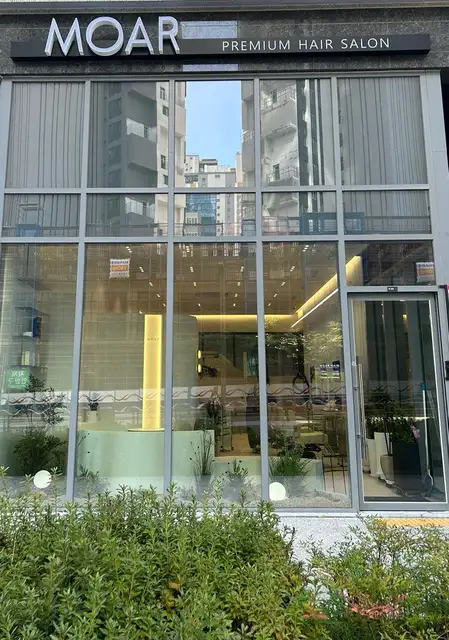 모아르헤어 사진 3