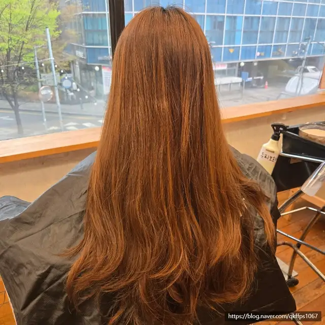 하이컬러 사진 7