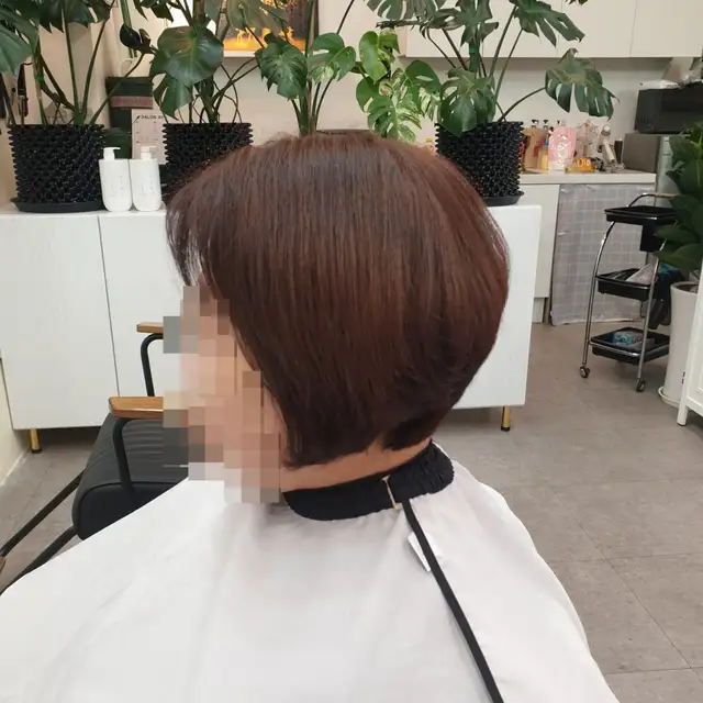 살롱84 사진 5