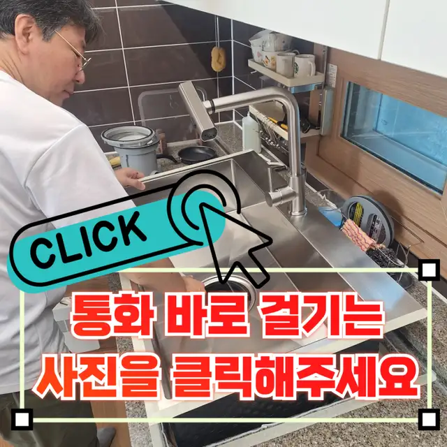 백조 사진 6