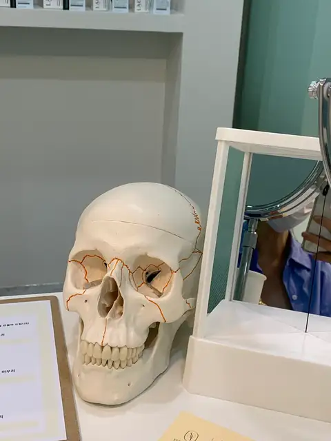 스테디윤 사진 4