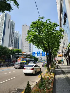 핑퐁래쉬 사진