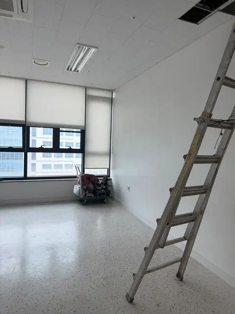 시드 에스테틱 사진 5